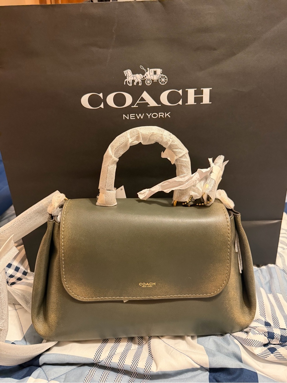 COACH Loved Leather Slouchy Rogue in Green